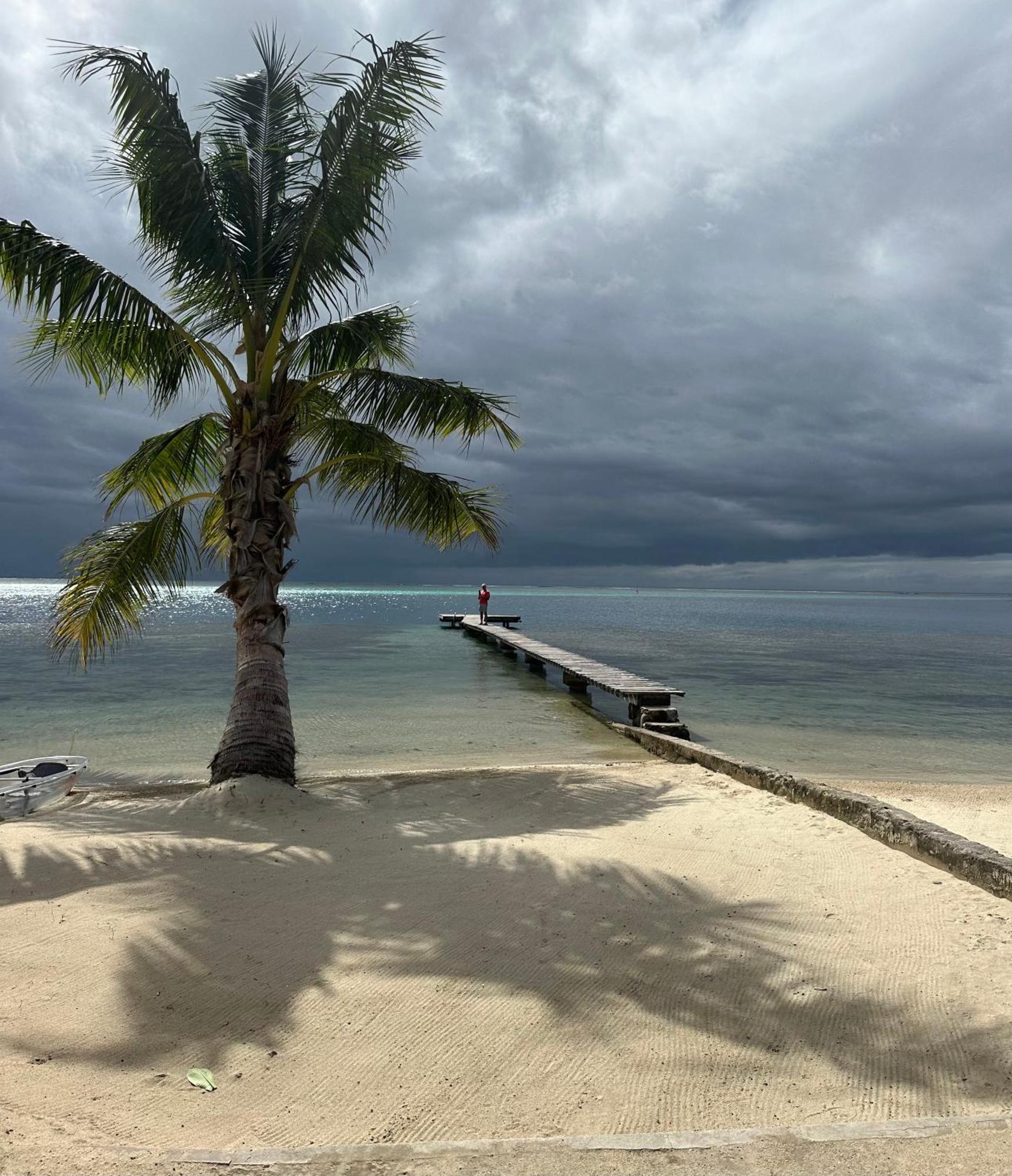 Chez Jay Moorea Beach House Villa Maharepa  Exterior foto